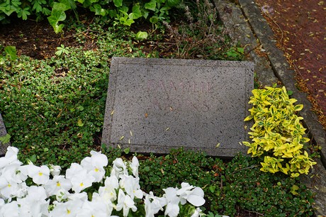 Bad Godesberg